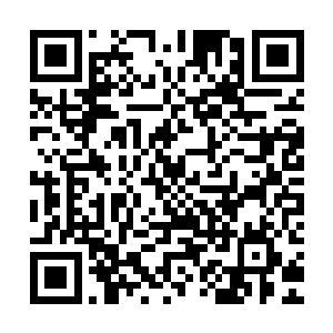 却被叶璃让人塞进了这个小小的简陋的院子里就再也不闻不问了二维码生成
