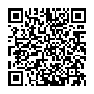 却被李蘭枫那双看向李音菲的冷冽双眼给制止了二维码生成