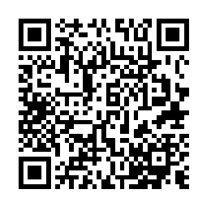 却被白小鹿灵巧闪过蛇爷的视网膜和视觉神经已经烧光了二维码生成
