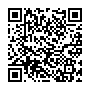 却被白老太用了一张黄符打在了脑袋瓜子上面以后二维码生成