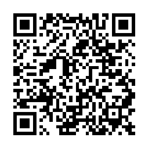 却要接拍一部可以断定几乎没有任何票房的纪录片电影二维码生成