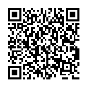 却见从背后山崖的密林中落下来的一抹影子在迅速坠往地面二维码生成