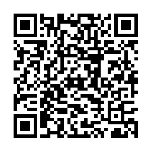 却见司徒笑和姬欢已经趁他不备迅速破开蛛网溜了二维码生成