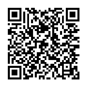 却见曹真率领着麾下五千人众也正往孙军正面大举扑杀过来二维码生成