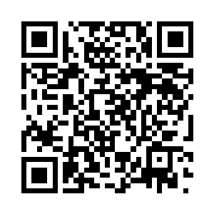 却见那只白猫已经变回了原本的大小二维码生成