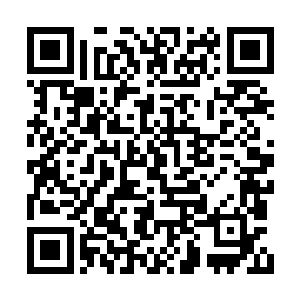 却见阴龙颈后的鳞片一弓就跃上了柳树的树冠上二维码生成