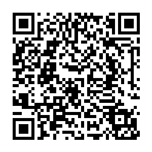 却让久居巴黎的王妃有些思乡的情绪优雅的接受了吴梦溪面谈的请求二维码生成