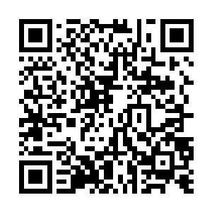 却让她在后面不知不觉的就对着面前的炸物下了嘴二维码生成