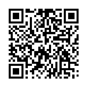 却让所有人不敢再小觑这个年仅八岁的孩子二维码生成