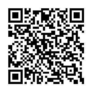 却讶异的看见自己的好侄子已经接近准备妥当了二维码生成