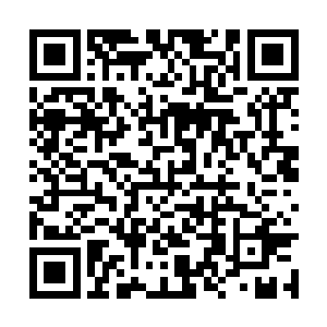 却足以抵消正常形态下马文粉身碎骨的痛苦和虚弱二维码生成