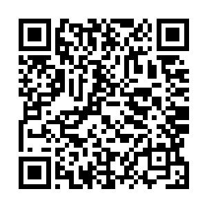 却还是一脸心有余悸死死盯着深坑中不明生物的小三问道二维码生成