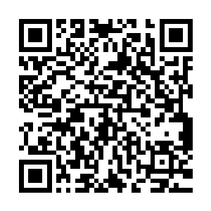 却还是在他们被自己的母妃冷落着的时候努力的照顾两个弟弟二维码生成