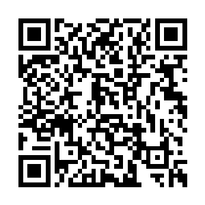 却还留了十把极品的法宝剑和三把神珍级的宝剑二维码生成