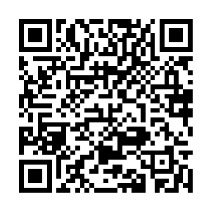 却隐约的听到前面的那对小情侣居然停止住了动作二维码生成