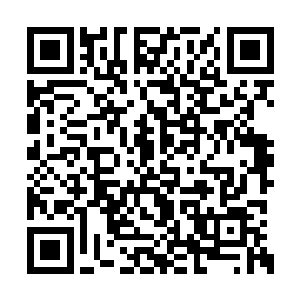 卷帘还有小白龙目瞪口呆地回望身后发生的一切二维码生成