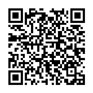 卷起滔天烈焰一下子将剑心老祖所化的剑光给吞没二维码生成