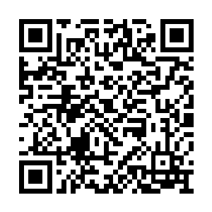 卿卿呀……我们也正在为小烽以后的出路发愁呢二维码生成