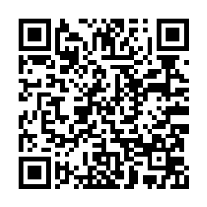 厅内翩跹起舞的三十多名妖艳女子立刻停了舞蹈二维码生成