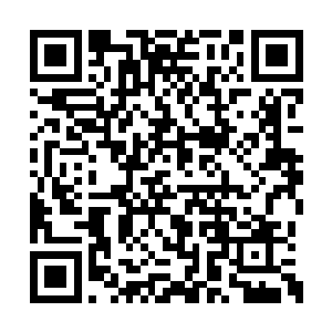 历代苍茫山的传人确实都与定王府没有什么瓜葛二维码生成