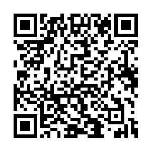 历任海精灵女王也一直将统一海族作为毕生追求二维码生成