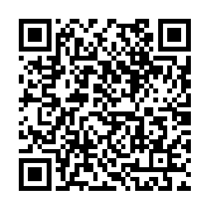 历史上的本多应该是不太可能和吕布论什么武力的二维码生成