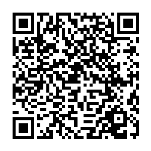 历史文化和战略地位就决定了它永远都是共和国舞台上不可或缺的一个耀眼角色二维码生成