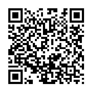 厉倾城一定能够把倾城国际做到百亿以上的营业额二维码生成