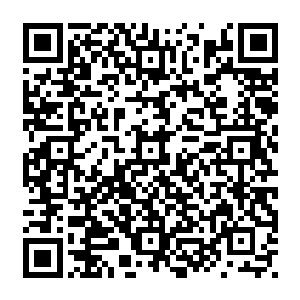 厉无疾目瞪口呆地看着自己的双手因为从四维状态弹回三维状态的过程中遭到重创二维码生成