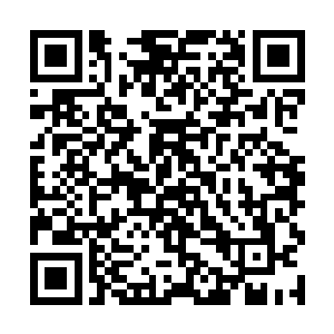 压根就没考虑过叶秋为什么要下达这样一个训练任务二维码生成