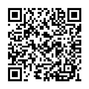 厚土的一声大喊犹如一道清泉注入了林烽的脑海二维码生成