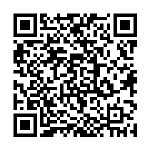 原主也不可能那般丧心病狂地去追逐这个飘渺的希望二维码生成