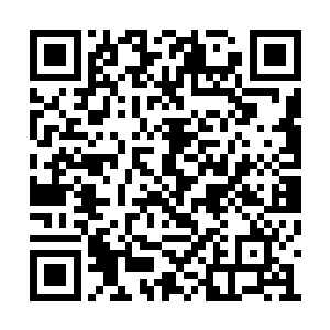 原以为这会是一场斯达姆林教训斗塔新人的战斗二维码生成