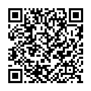 原先蜥蜴骨架上面突然冒出许多刚才的红色血管二维码生成