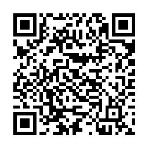 原告律师口口声声说金乔是慕云庭的最佳监护人人选二维码生成