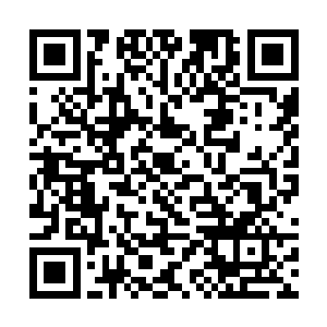 原因就是一位圣域巅峰九重天强者直接发话威胁他人二维码生成