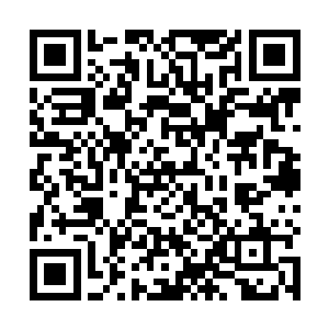 原因就是隐居在珣山修道院后山的那位刀术大师出手了二维码生成