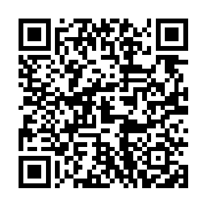 原属5号营地的人纷纷对着后续冲上來的猩猩扣下了扳机二维码生成