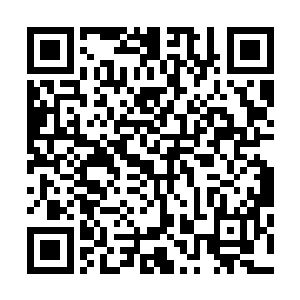 原想着自己无论如何也能在大宋的地界里维持三五年的威风二维码生成