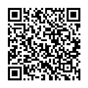 原战在挪移草木时偶尔会凭借直觉发现一些奇怪的植物二维码生成