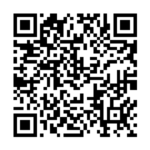 原战点向一根刻画着看起来似在雾中腾飞的人面大蛇的骨板二维码生成