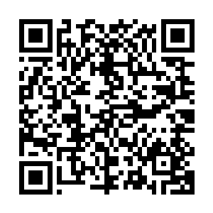 原战这种满心依偎和信任的态度非常恰到好处地戳到了他的萌点二维码生成