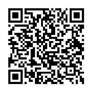 原战那小子八成嫌弃这种战斗方式不够震慑人心二维码生成