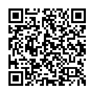 原本一动不动的九彩神龙的身体猛地颤抖了一下二维码生成