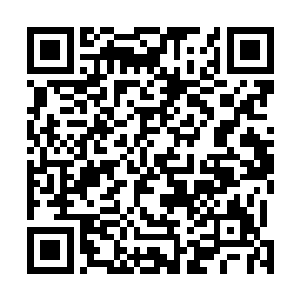 原本一向空旷的夜来香门前停车场如今堪比小型豪华车展二维码生成