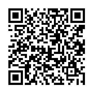 原本万里无波的碧绿海水像是突然变成了强力胶水二维码生成
