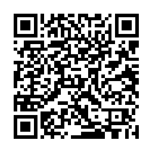 原本不安的心里慢慢的开始跟身体一般开始沉淀了下来二维码生成