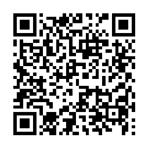 原本不爱徐东西的郑好这一次却冲在了林烽的前面二维码生成