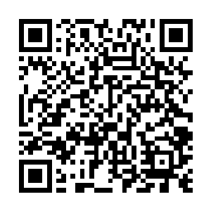 原本两个忠心耿耿的属下原本要保着主公谋划一番大事业二维码生成