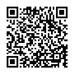 原本也只是想让江少游以自己的男伴的身份出席这个派对的二维码生成